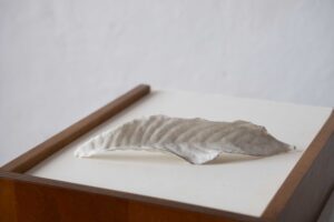 Cristina Gozzini La-Foglia-