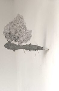  Cristina Gozzini Sono-sempre-stata-qui-II-2025-Elementi-Organici-cm27x22x4cm